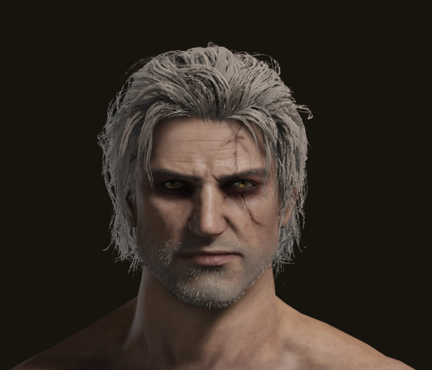 Geralt of Rivia Witcher Elden Ring character creation, face